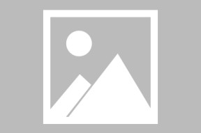 Scout重返赛场，败北首场状态出色，美国队观众沸腾！的简单介绍-kaiyun登录入口